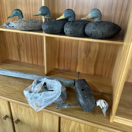 Duck decoys plus extra vintage wooden heads