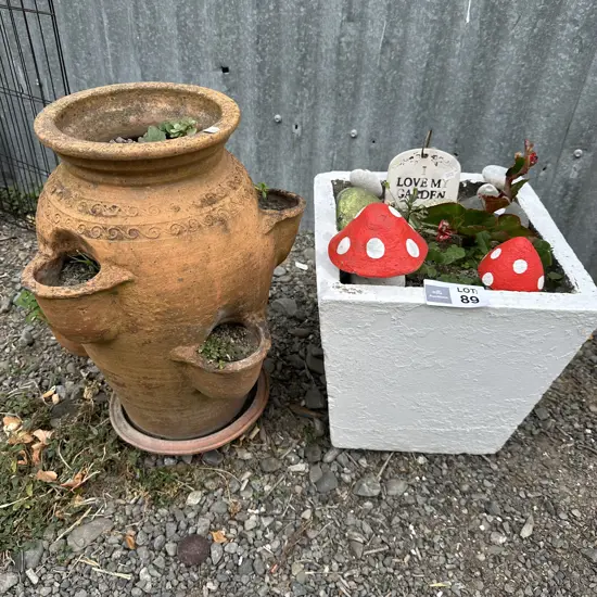 2 planters and mushrooms