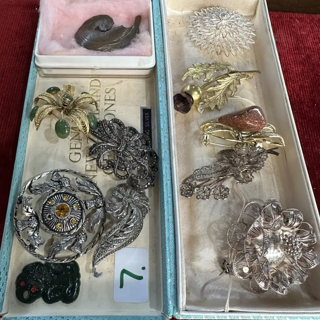 selection of brooches Image 1++