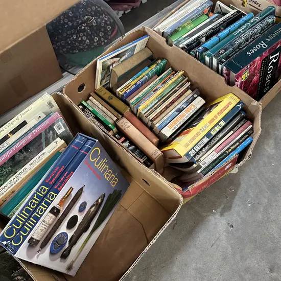 Three boxes of books.