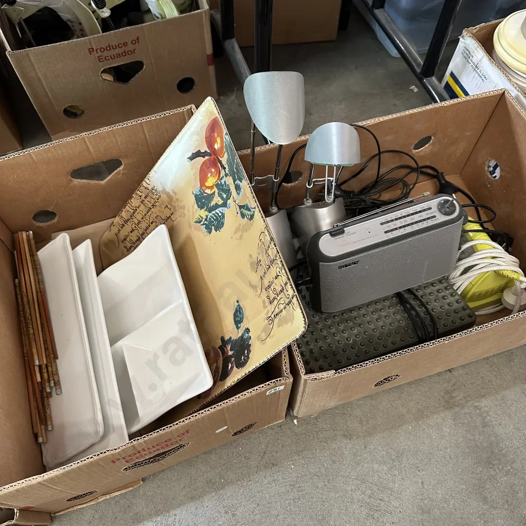 Two boxes Pair of lamps, Sony radio, iron, servers etc. Image 1++