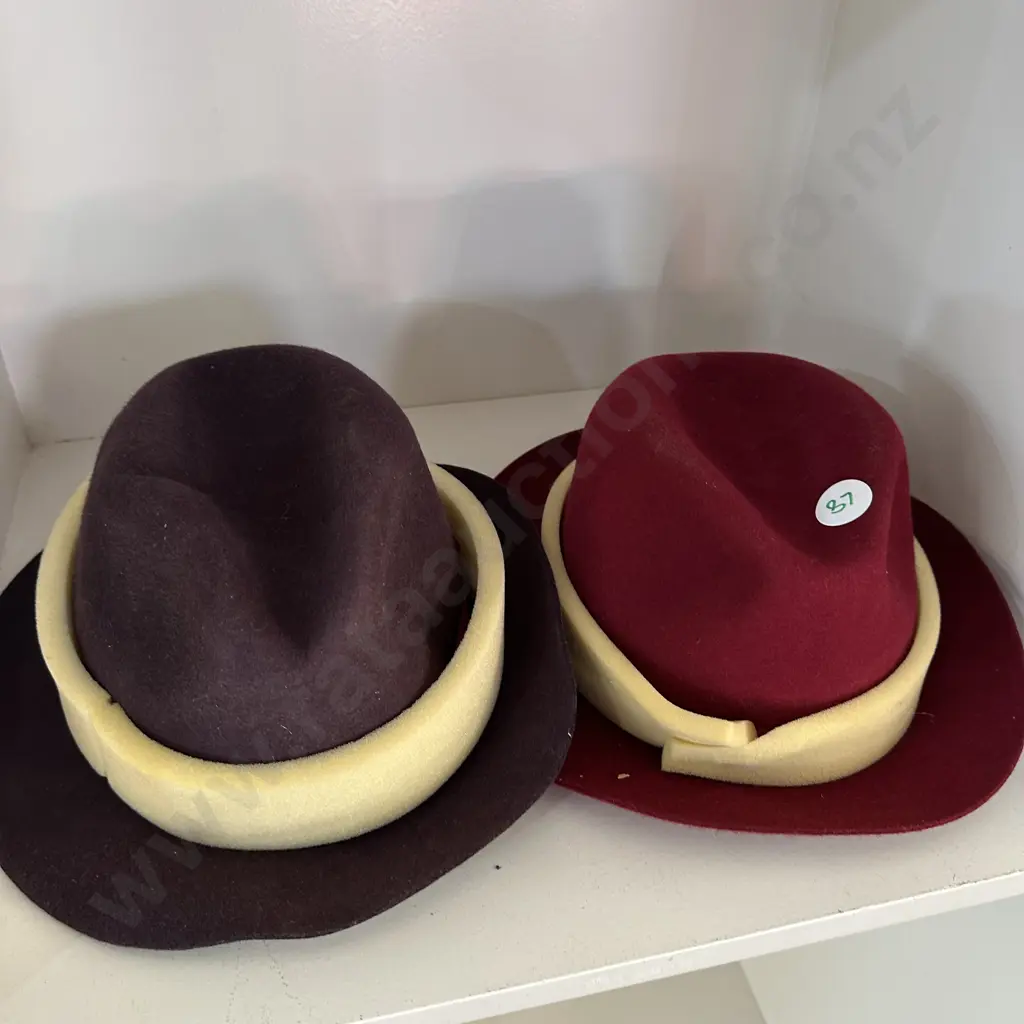 2 new felt hats Image 1++