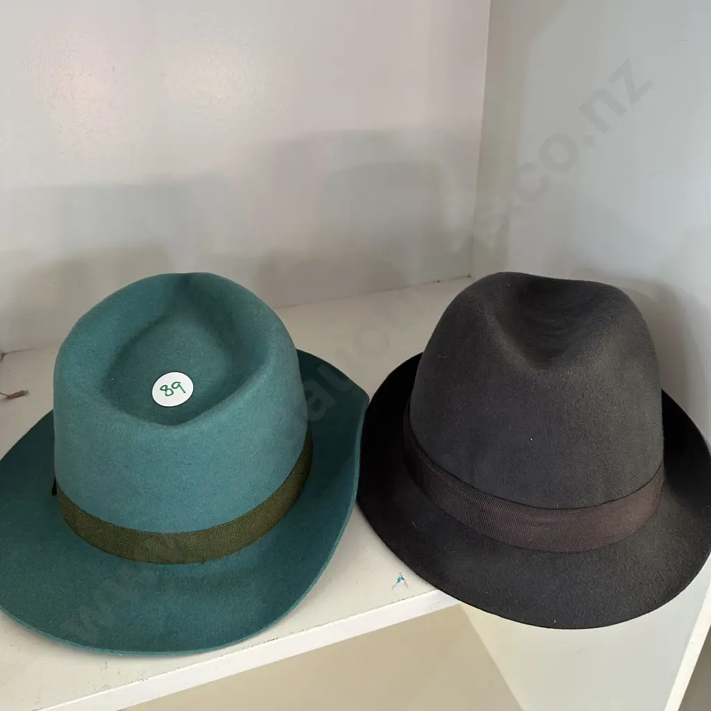 2 new felt hats Image 1++