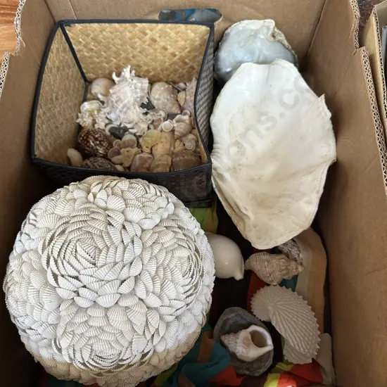 Shell collection inc handmade lamp shade of tiny shells