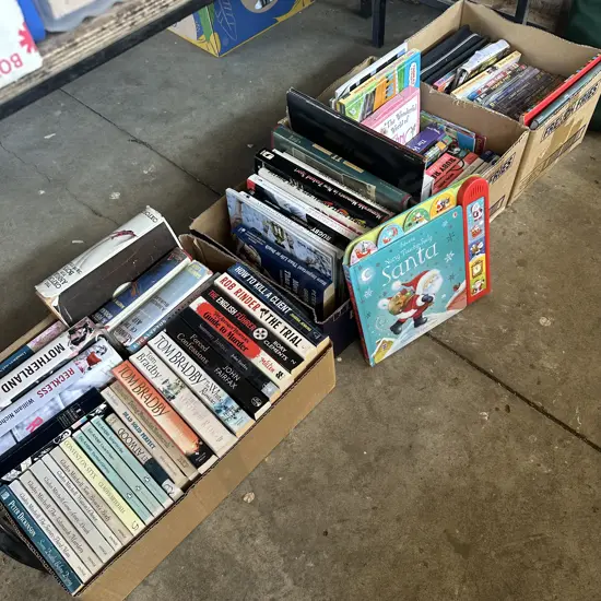 4 boxes, books, DVDs, Touchy-Feely Santa