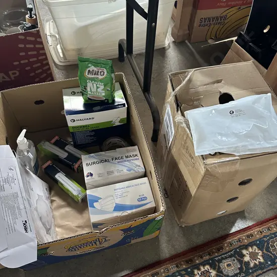 Half a box of cool packs, masks, lamps and Milo etc.