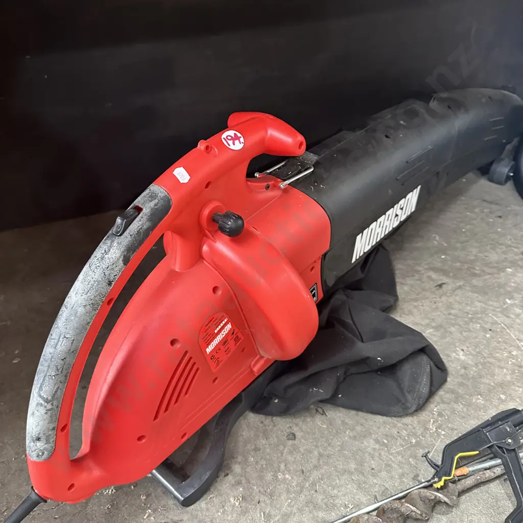 Blower vac. Image 1++