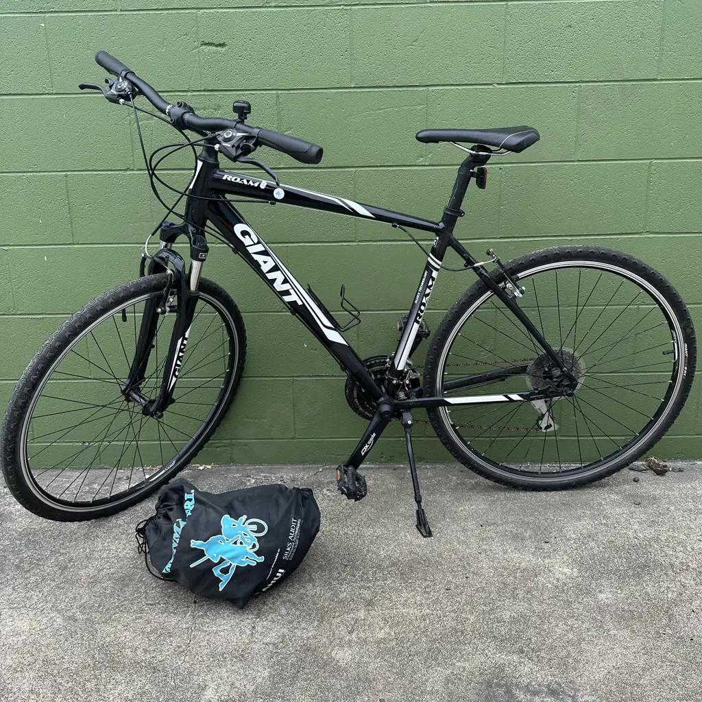 Giant Roam, size L plus helmet Image 1++