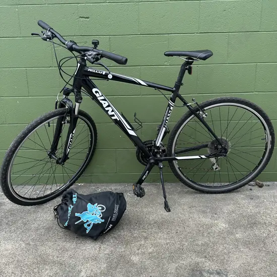 Giant Roam, size L plus helmet