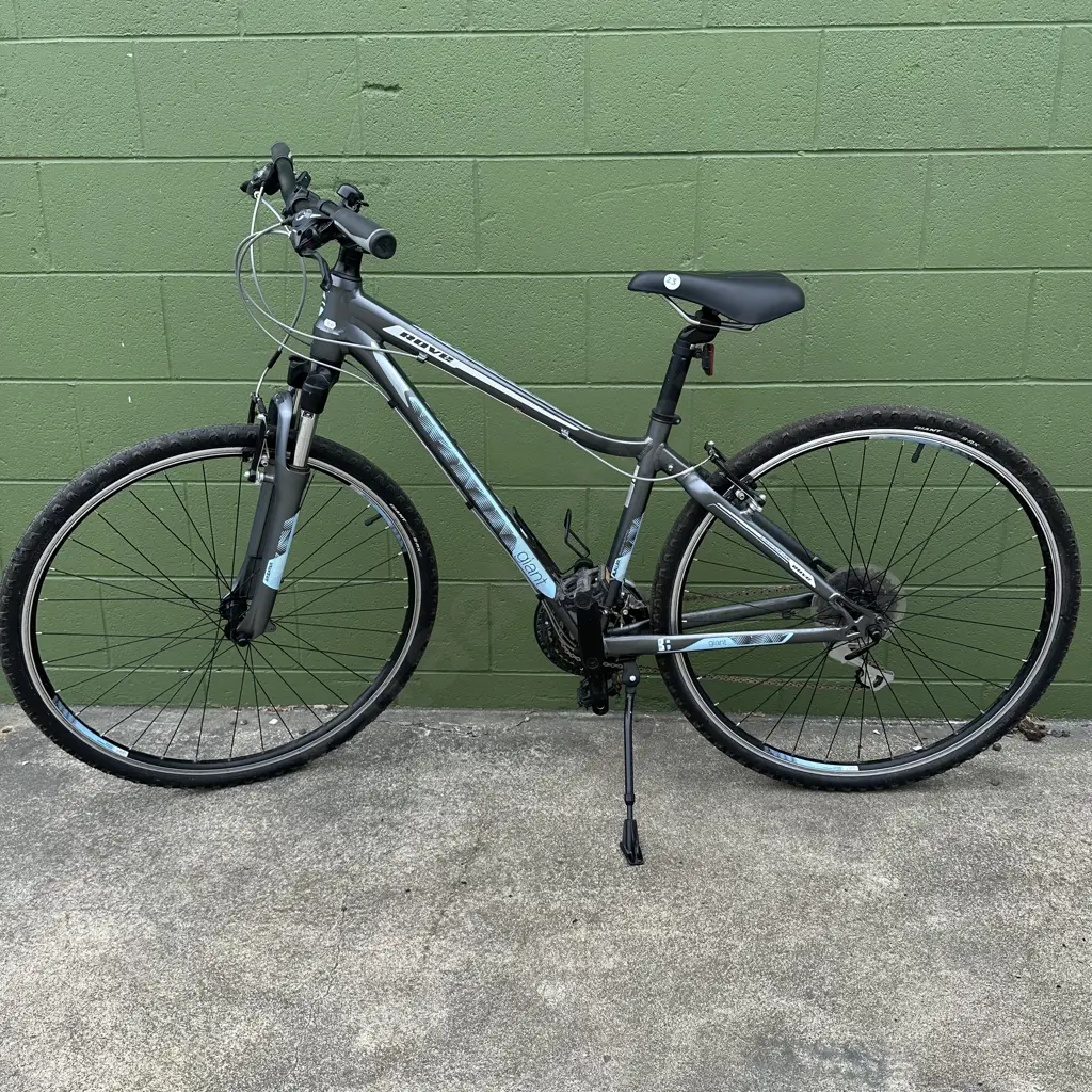 Giant Rove ladies bike Image 1++