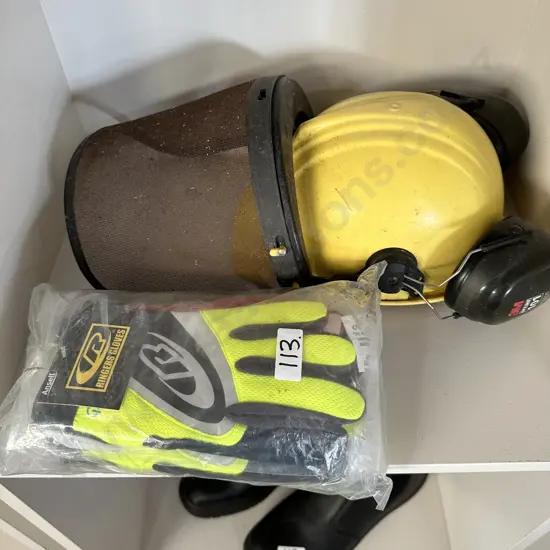 arborist helmet gloves