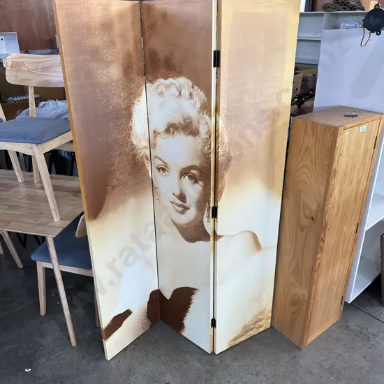 Screen (some damage)