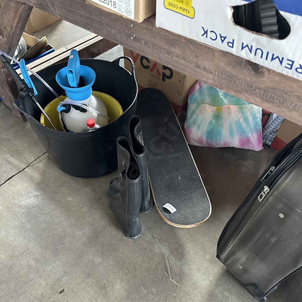 Skateboard, suitcases, sprayer etc Image 1++