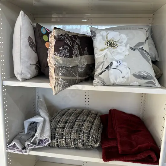 Cushions (inc feather)and throw