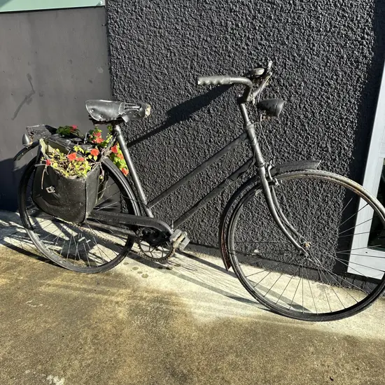 Vintage bike with planter saddle
