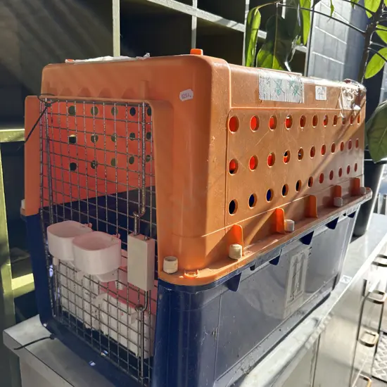 Medium pet cage and 3pc glass