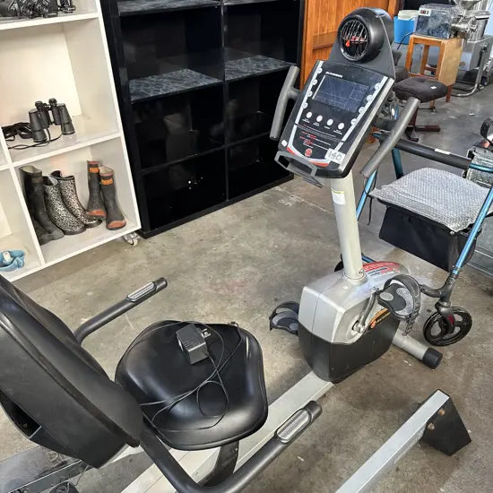 Schwinn flywheel resistance system