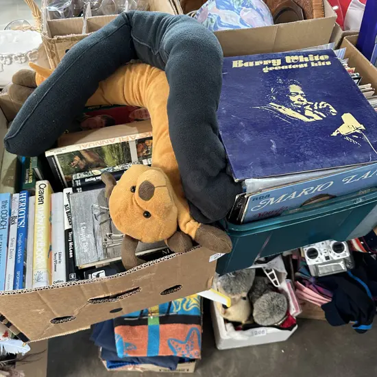 Sport books , LPs, draft stoppers