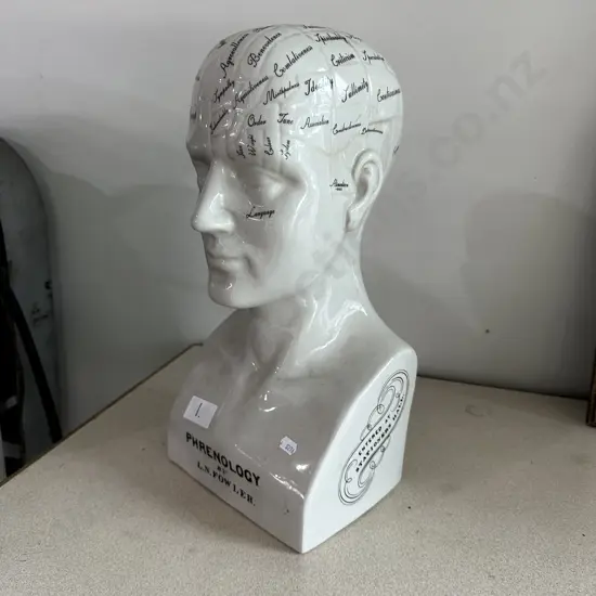 Phrenology head 44cm