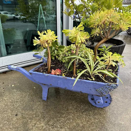 Small wooden planter barrow