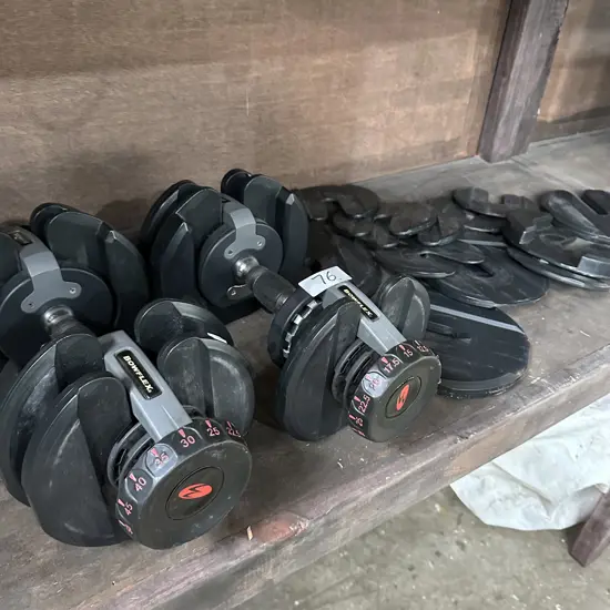 Bowflex and weights, cover plus other fitness equipment (been outside)