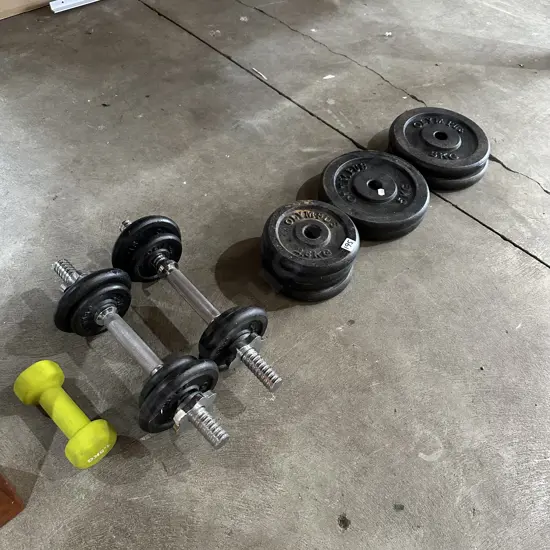 3 dumbells and weights
