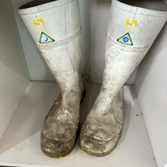 size 14 gumboots, has a tear