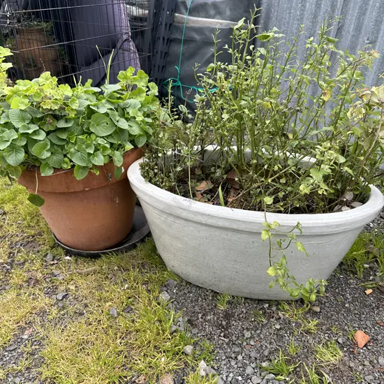 2 x large garden pots