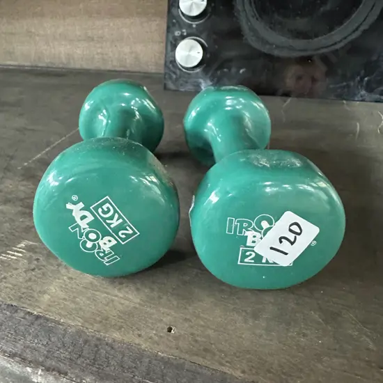 Pr of 2kg weights