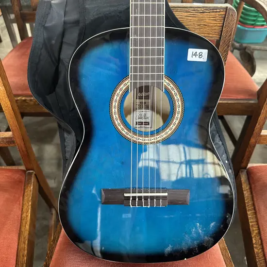 Ashton guitar with cover