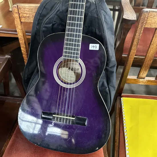 Ashton guitar and cover