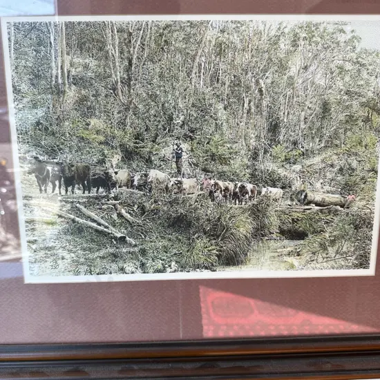 2 x Brian Moore Ltd Ed