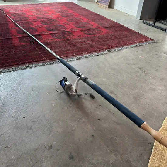 Daiwa Surfcaster rod and reel