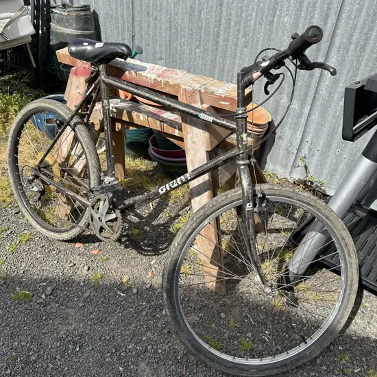 Large giant bike