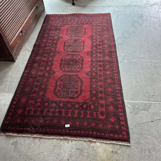 Elephant foot rug 1950 x 1020