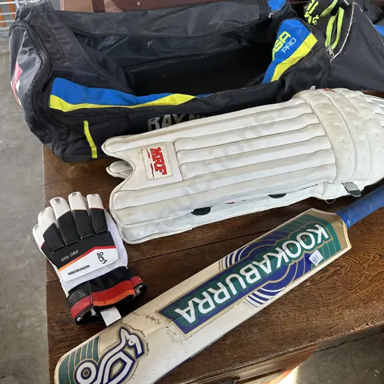 Adult cricket set