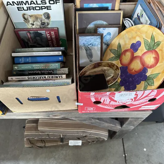 2 box lots plus lounger cushions