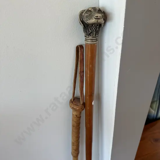 Walking stick and whip