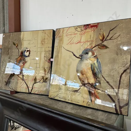 Pr Bird pictures 580 x 580