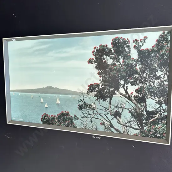 Whites photo Bastion Point