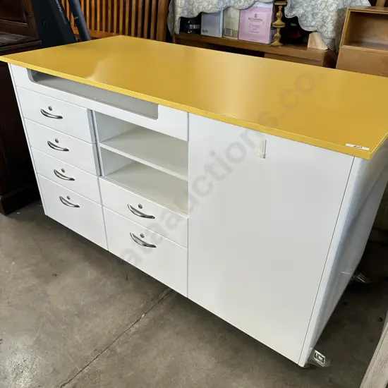 Rolling custom shop counter (cost 2.5k)