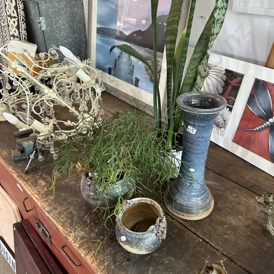 Pottery and Mother in laws tongue