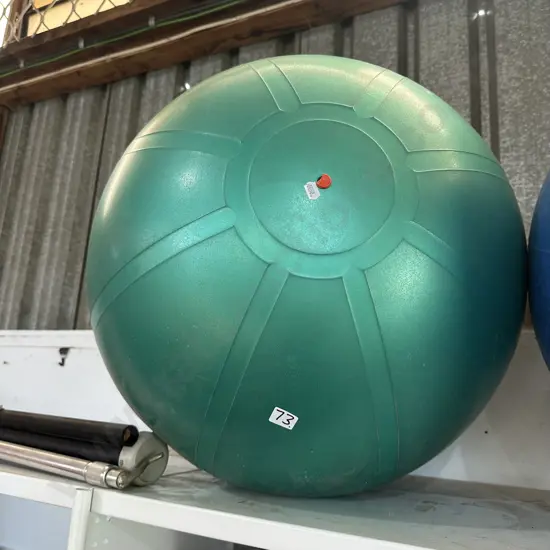 Swiss ball and screen