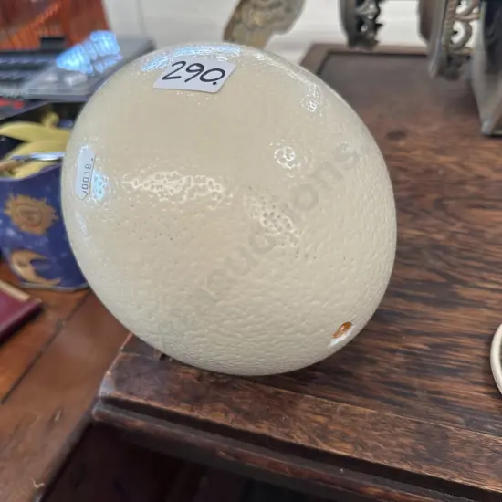Ostrich egg
