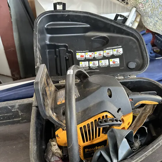 Polan chainsaw