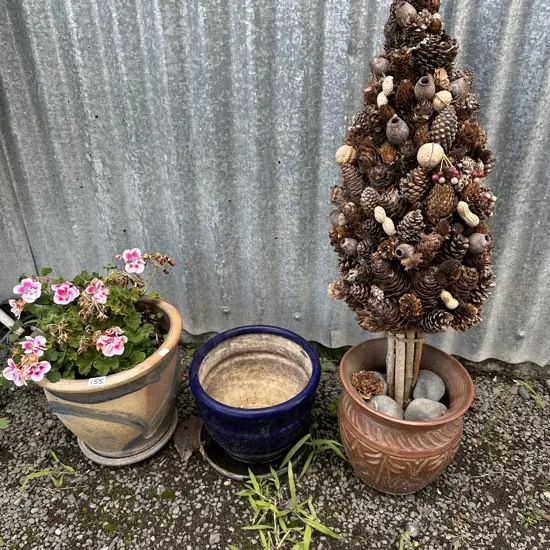 3 pots and pine cone tree