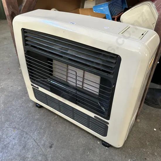 Rinnai natural gas heater