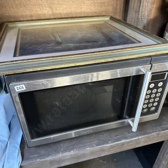 Microwave and picture