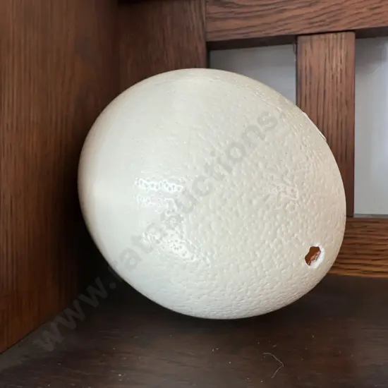Ostrich egg