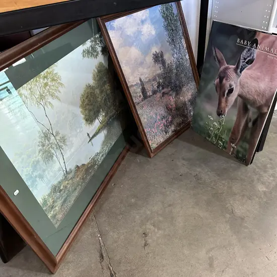 4 pictures and large book